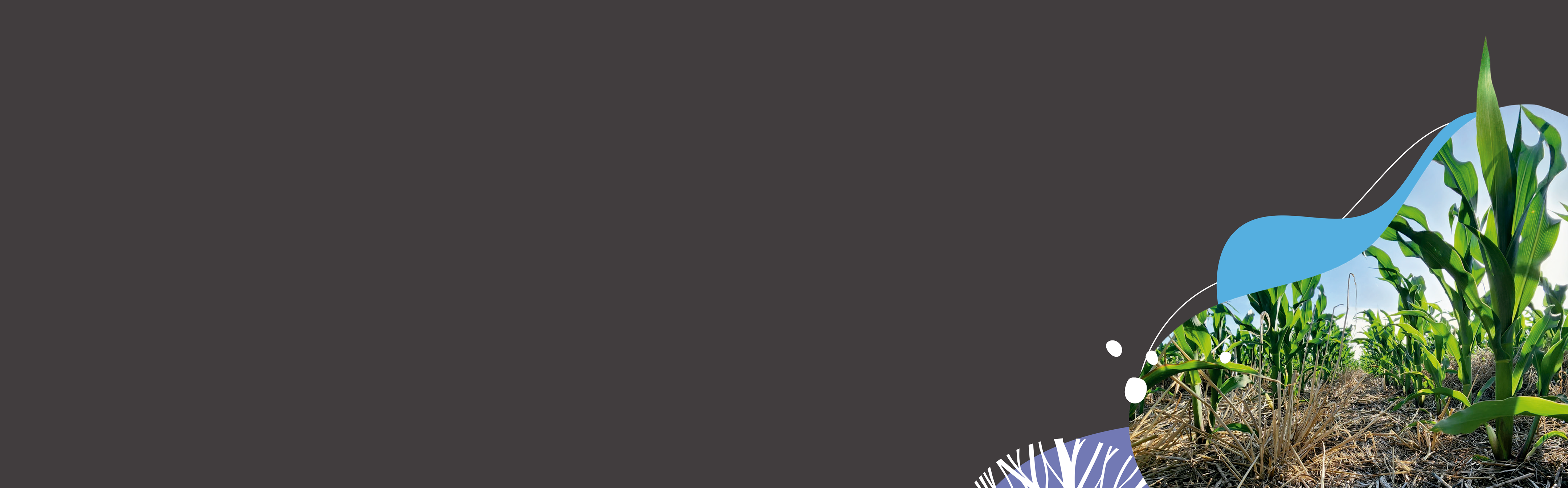 El lugar donde se escribe el futuro del Agro