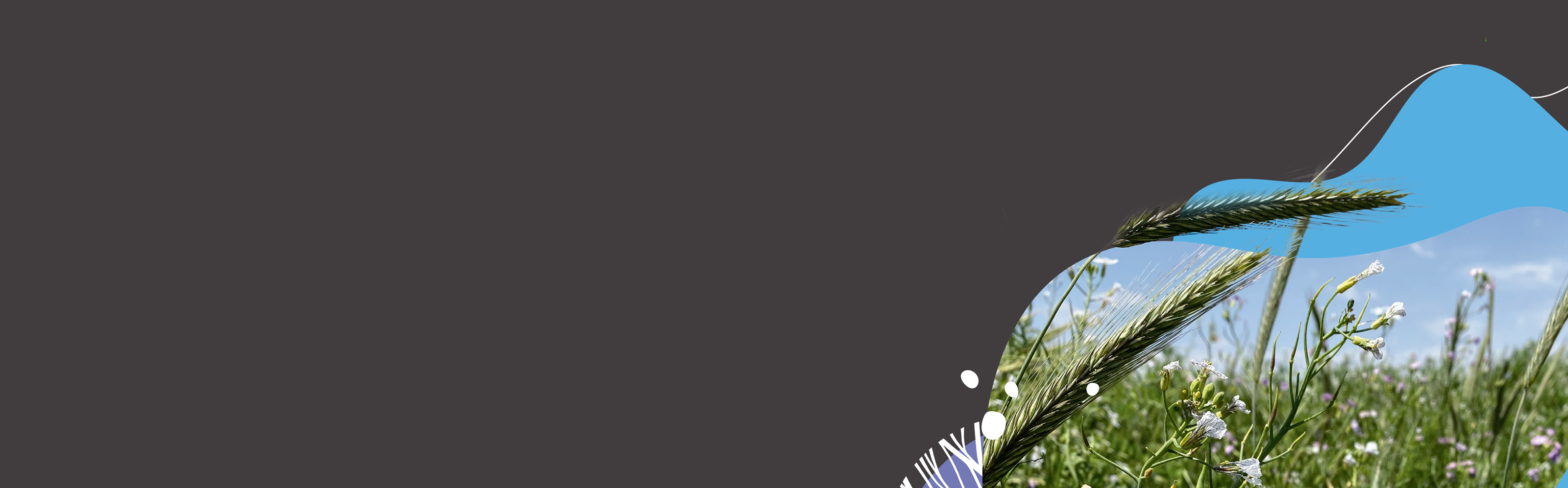 El lugar donde se escribe el futuro del Agro