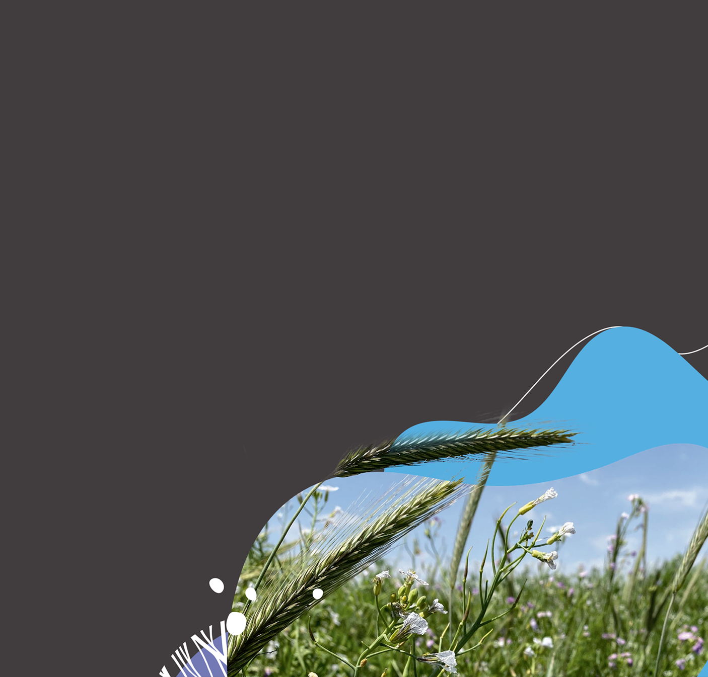 El lugar donde se escribe el futuro del Agro